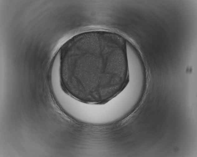 X0000112931365200910051122