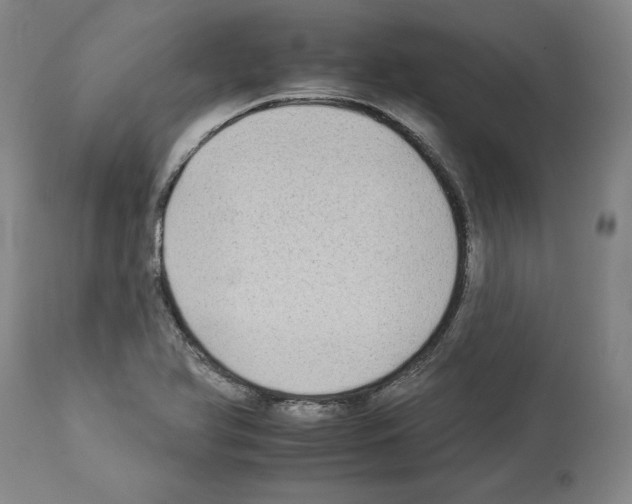 X0000112931366200910051122