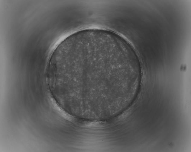 X0000112931367200910051122