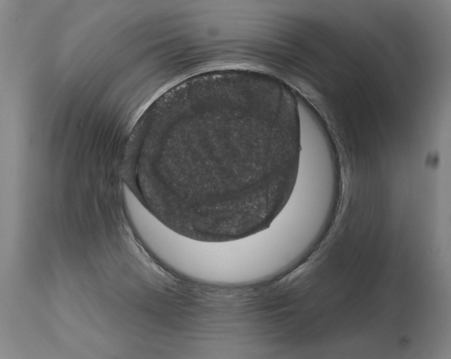 X0000112931369200910051122
