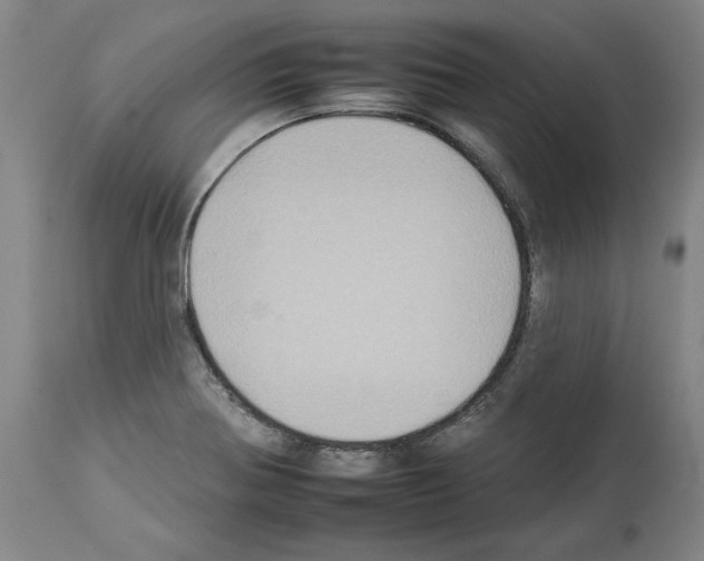 X0000112931370200910051122
