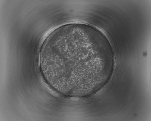 X0000112931371200910051122