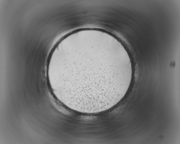 X0000112931372200910051122