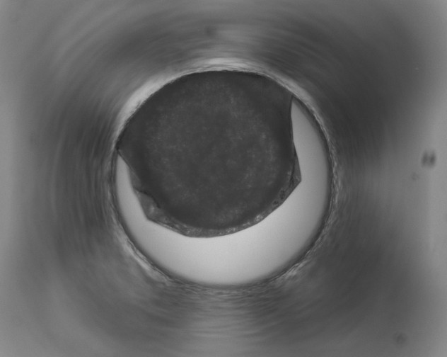 X0000112931373200910051122