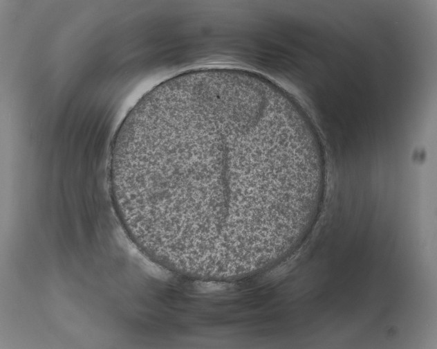 X0000112931374200910051122