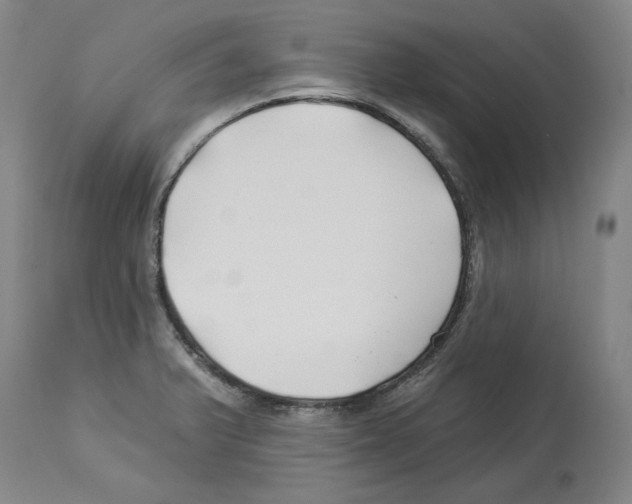X0000112931375200910051122