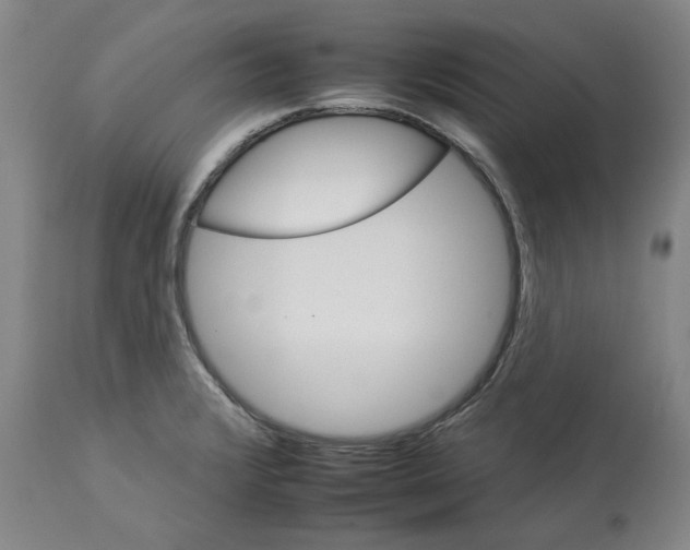 X0000112931376200910051122