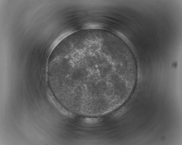 X0000112931378200910051121