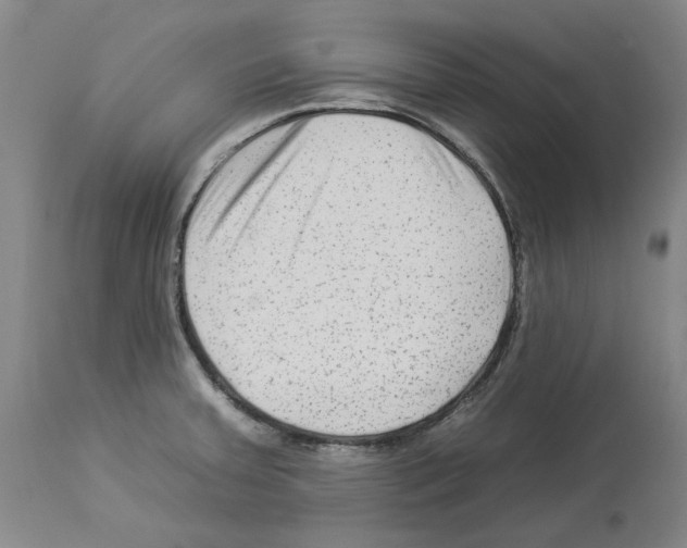 X0000112931379200910051121