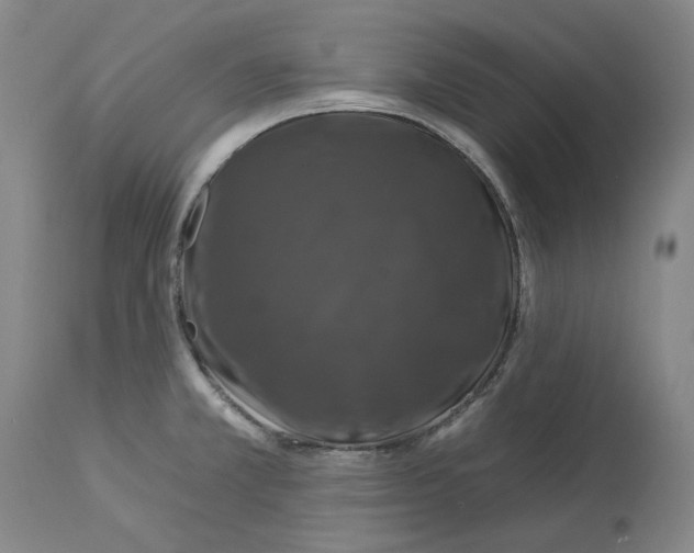 X0000112931381200910051121