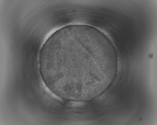 X0000112931382200910051121