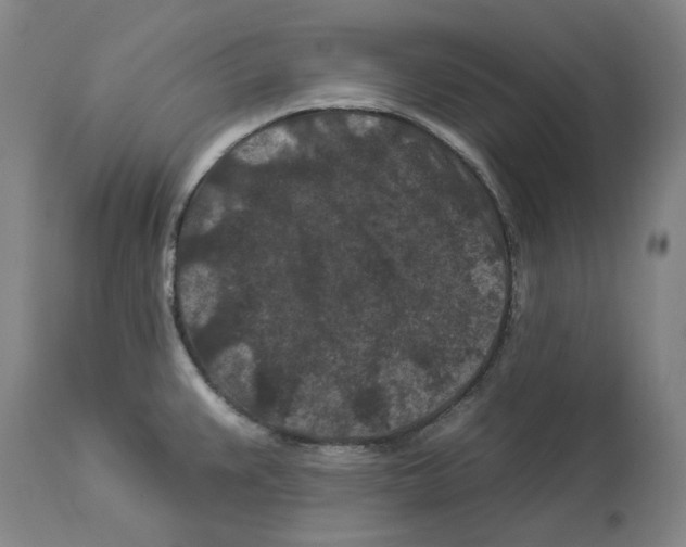 X0000112931383200910051121
