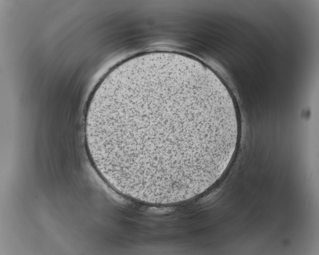 X0000112931384200910051121