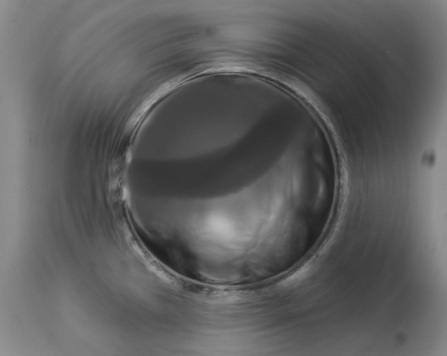 X0000112931385200910051121