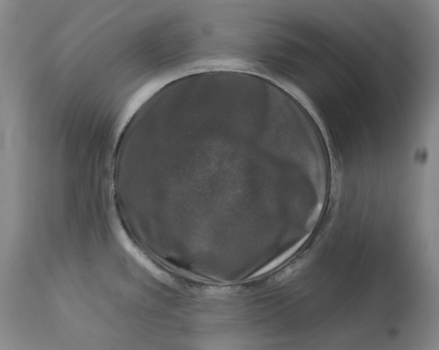 X0000112931389200910051121