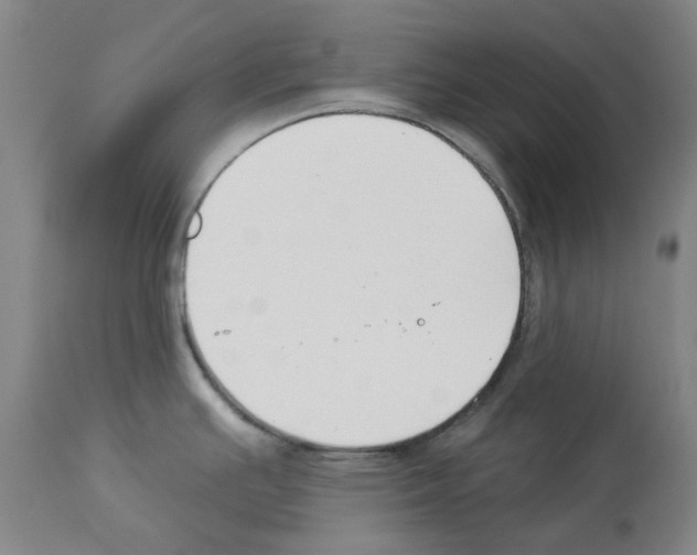 X0000112931391200910051121