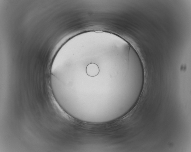 X0000112931392200910051121