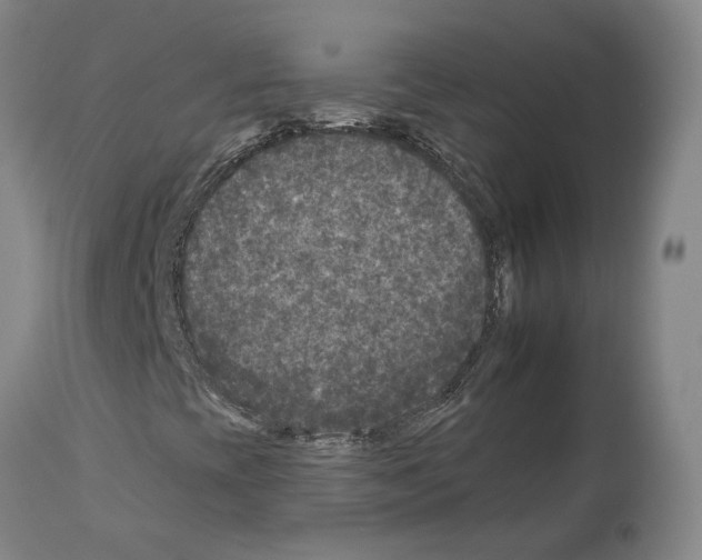 X0000112931393200910051121