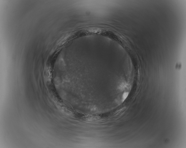 X0000112931394200910051121
