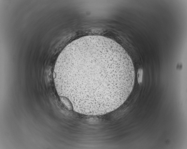 X0000112931395200910051121
