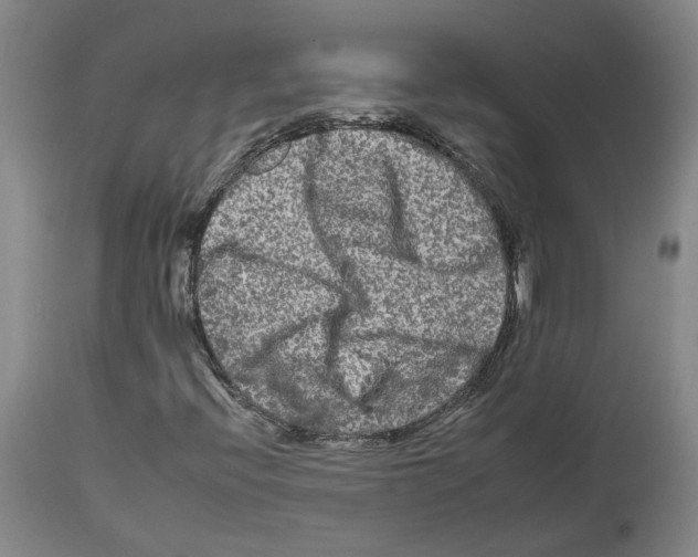 X0000112931396200910051121