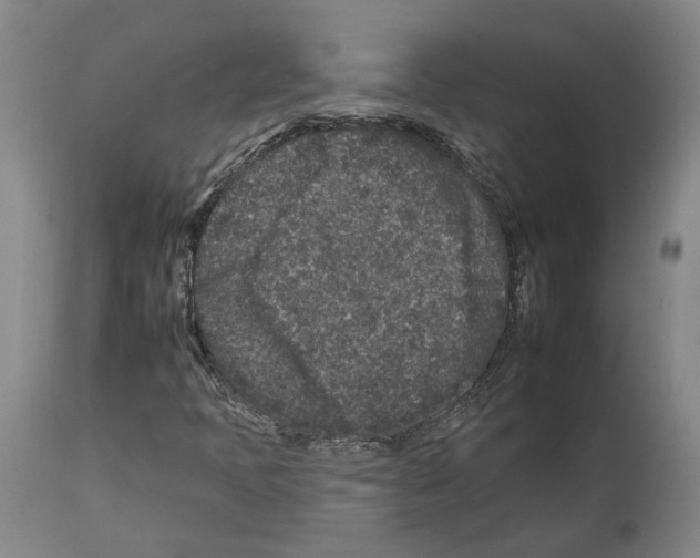 X0000112931397200910051121