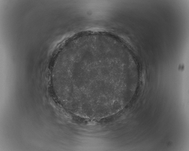 X0000112931398200910051121