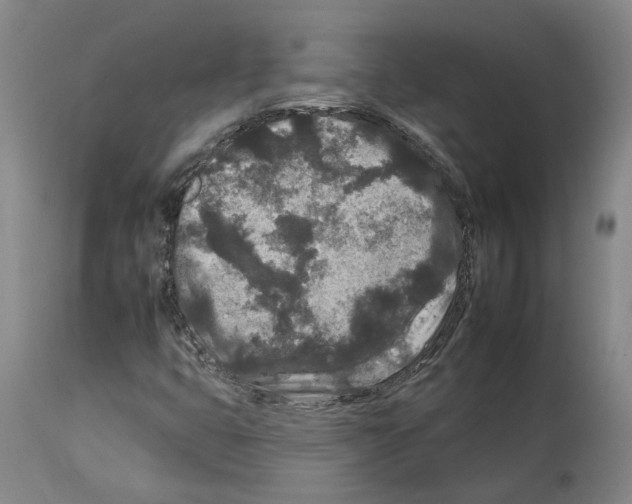 X0000112931399200910051121