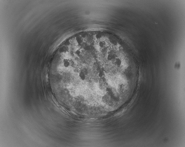 X0000112931401200910051121