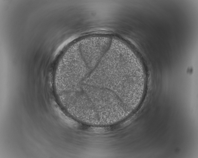 X0000112931402200910051121