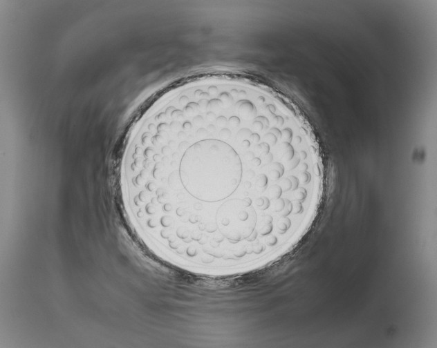 X0000112931404200910051121