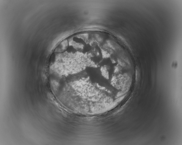 X0000112931405200910051121