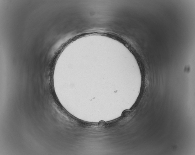 X0000112931406200910051121