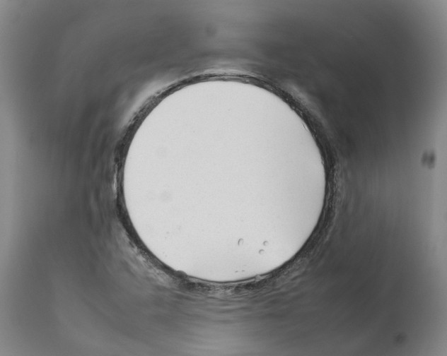 X0000112931408200910051121