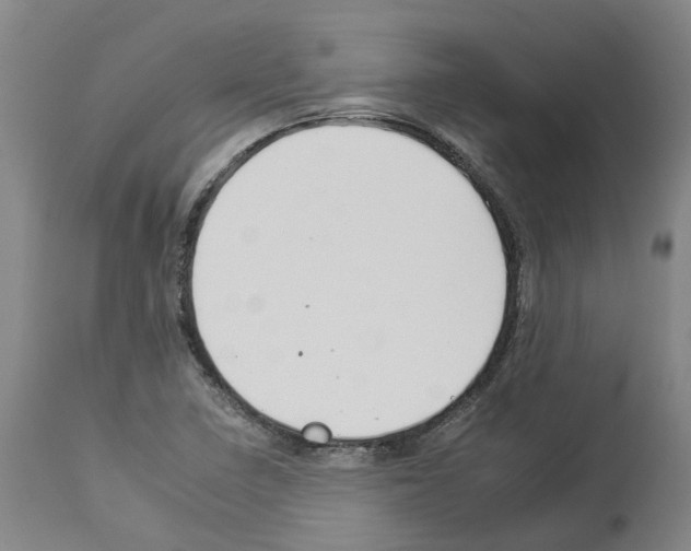 X0000112931410200910051121