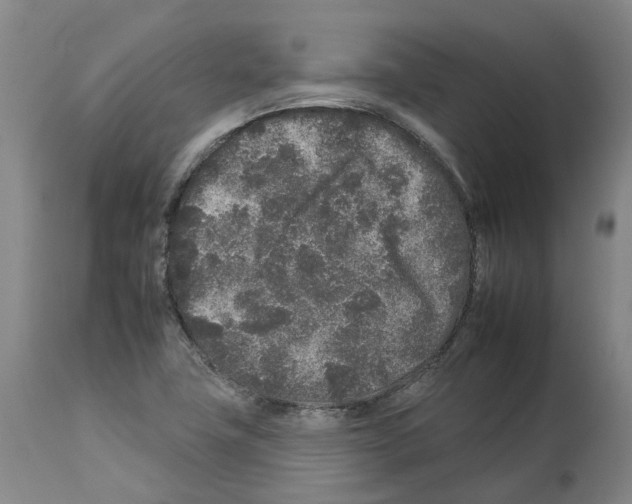 X0000112931411200910051121