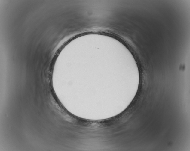 X0000112931412200910051121