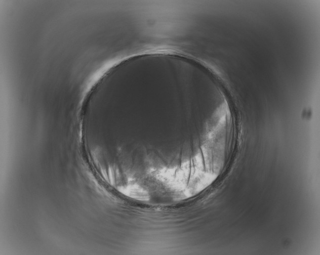 X0000112931414200910051121