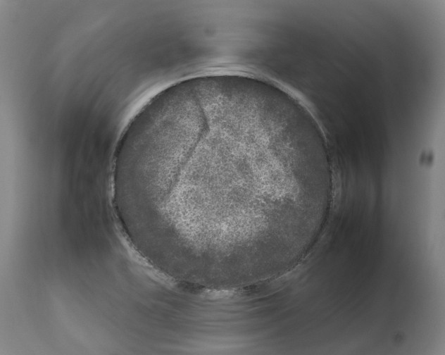 X0000112931415200910051121