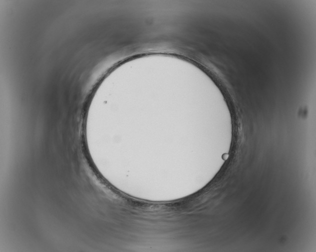 X0000112931416200910051121