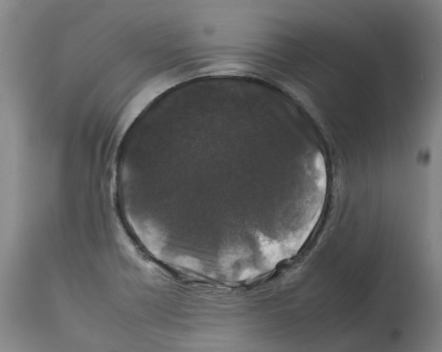 X0000112931418200910051121