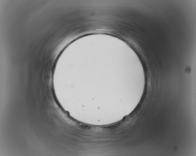 X0000112931420200910051121