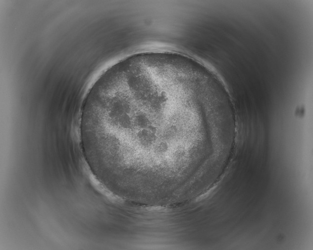 X0000112931421200910051121