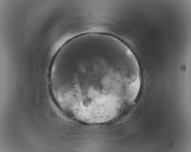 X0000112931422200910051121
