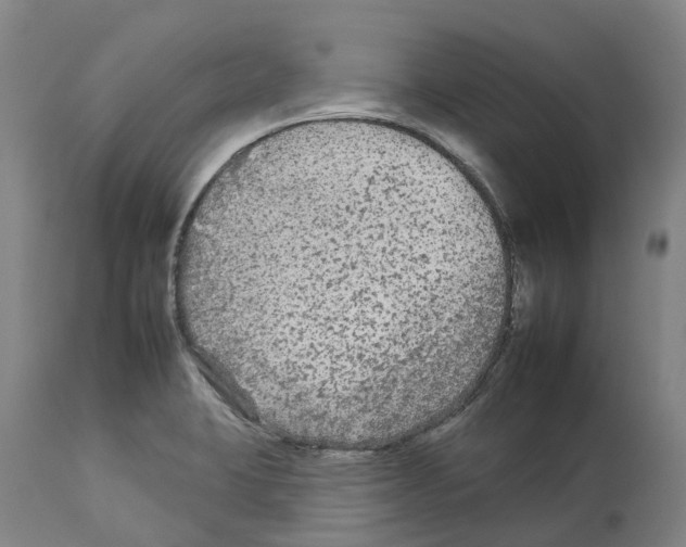 X0000112931423200910051121