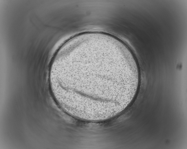 X0000112931424200910051121