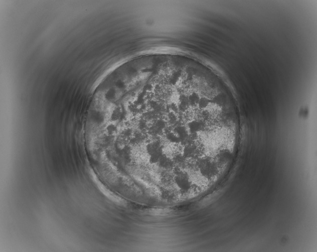 X0000112931425200910051121