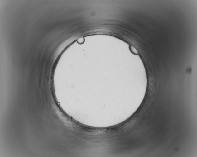 X0000112931426200910051121