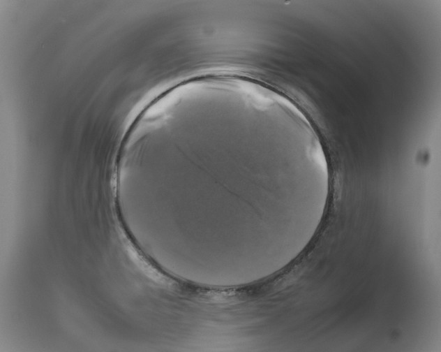 X0000112931428200910051121