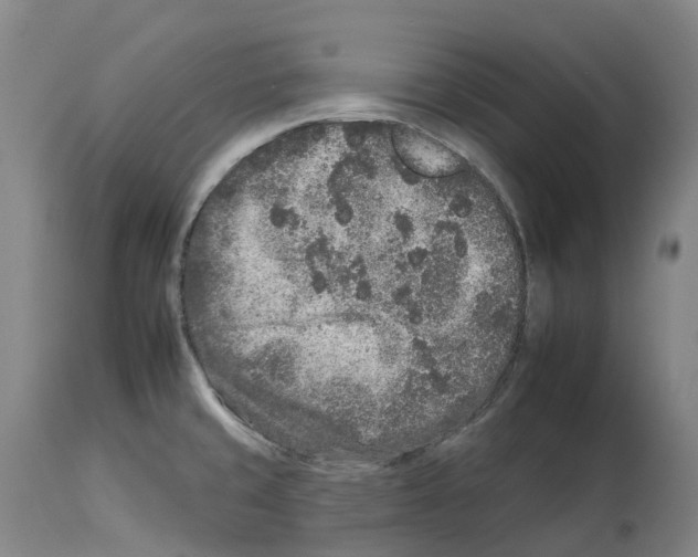 X0000112931429200910051121